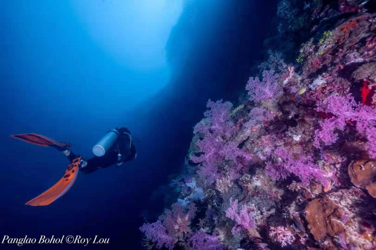 Ultra Mint Dive Resort Panglao Exteriér fotografie